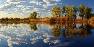 Arti mimpi berenang di air keruh. Mengapa Bermimpi Memasuki Sungai Air Di Sungai Tafsiran Buku Impian