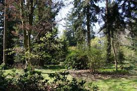 Da dieses land dadurch seine landwirtschaftliche nutzbarkeit verlor und die zunächst angepflanzten obstbäume nicht den gewünschten ertrag erzielten, begann bernhard loismann sen. Botanischer Garten Loismann Wikipedia