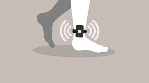 Ankle monitors are electronic devices that are tethered around your ankle. What To Know About Ankle Monitors Abc13 Houston
