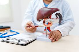 Image result for Liver Function Test