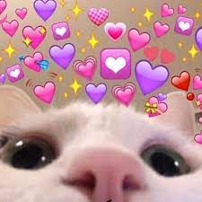 Ann On Twitter Hello Memes Cute Love Memes Cute Cat Memes