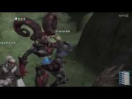 They are easily spotted with their erratic vertical movement and their location marker on your map. Final Fantasy Xi Ffxi Geo99whm49 Geo Geomancer Ireland Activating Survival Guide 21 06 16 Youtube