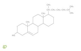 Cholesterin Grenzwerte Hdl Ldl Normwerte Cholesterin Senken Onmeda De
