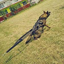 What other dog accessories can be made from rope? How To Make A Dog Sledding Harness