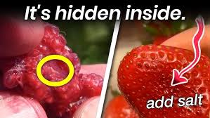 Just remember to wash your berries first. The Truth Behind The Hidden Worms In Your Strawberries Youtube