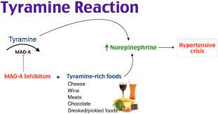 Rosh Review Pharmacology Medicine Norepinephrine