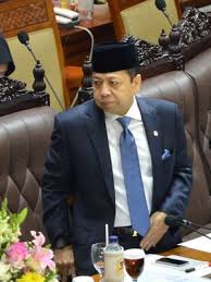 Hasil gambar untuk setya novanto uu ormas