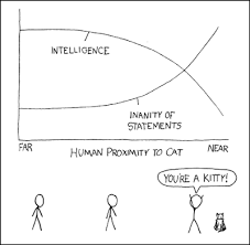 15 Unfolded Demetri Martin Pie Chart