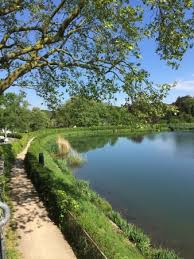 Ob fleischgericht ob fischgericht oder doch lieber vegetarisch, unsere köche zaubern ihnen in der. Haus Am See Bild Von Haus Am See Aachen Tripadvisor