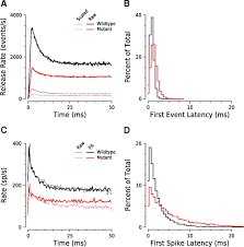 Rip kevin «the monster» randleman pic.twitter.com/mtc4nfaf29. Onset Coding Is Degraded In Auditory Nerve Fibers From Mutant Mice Lacking Synaptic Ribbons Journal Of Neuroscience