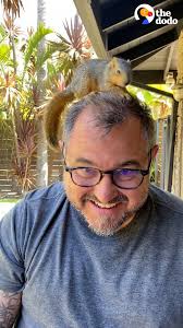 Dodo shares story about their office squirrel