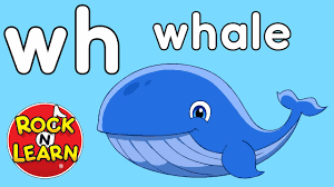 Our 2nd channel is on patreon! Wh Digraph Sound Wh Song And Practice Abc Phonics Song With Sounds For Children Youtube