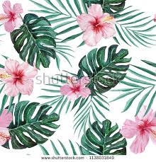 Hand Drawn Tropical Hibiscus Flowers Palm And Monstera Leaves Seamless Watercolor Pattern Botan Hibiscus Flower Drawing Pink Flower Painting Hibiscus Flowers