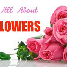 Maybe you would like to learn more about one of these? Amour Flowers 16 Photos Florists 8814 Alameda Ave El Paso Tx Phone Number Yelp