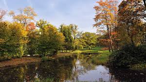 Doğa resimli duvar kağıtlarıda büyük i̇ndirim alman malı 5 yıl garantili su nem ve buhardan etkilenmeyen tekstil tabanlı vinil duvar kağıtları stoklari bi̇ti̇ri̇yoruz sinirli. Masaustu Duvar Kagitlari Harika Doga Resimleri Hd Apk Oyun Ve Uygulama Indirme Sitesi