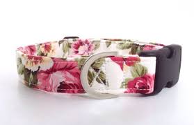 Professional and reliable pet taxi service. Pink Floral Dog Collar Rose Dog Collar Girl Dog Collar Etsy Girl Dog Collars Floral Dog Collars Big Dog Collars