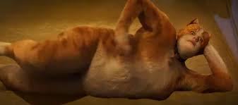 Toastedshoes On Twitter Sleep Paralysis But It S Cat Rebel Wilson In The Corner Of Your Room