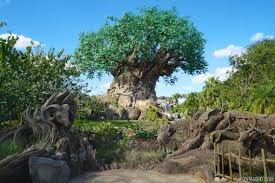 Disney's animal kingdom is an animal theme park located at the walt disney world resort. Disney S Animal Kingdom