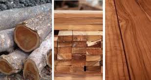 Search how to use tongkat ali. Mengulas Perbandingan Kayu Jati Dan Kayu Ulin Bermutu Id