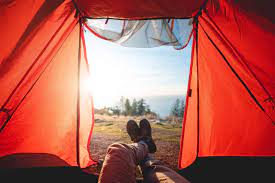 Choosing which of these tents is the right one for you ultimately comes down to your individual needs. Best 8 Person Tent For Family Camping In 2021 Wilderness Times