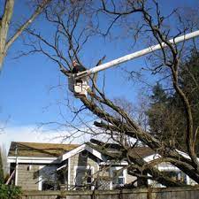 Call for a free estimate. Mike S Affordable Tree Service Tree Services 7016 147th Ave Ne Lake Stevens Wa Phone Number Yelp