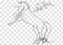 How to draw a mustang horse. Rearing Line Art Drawing Mustang Arabian Horse Arm Spirit Transparent Png