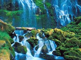 We've gathered more than 5 million images uploaded by our users and sorted them by the. 1287775308 Jpg 1 024 768 Pixels Waterfall Pictures Waterfall Wallpaper Waterfall