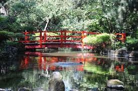 Micke Grove Northern California Places Worth Visiting Most Beautiful Places Beautiful Places