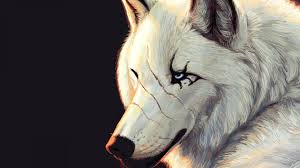 Check out inspiring examples of anime_wolf artwork on deviantart, and get inspired by our community of talented artists. Anime White Wolf Wallpaper