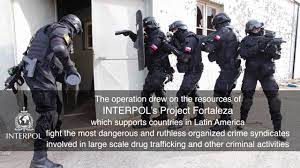 Maybe you would like to learn more about one of these? Interpol Operation Lionfish 2017 Youtube