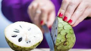 Cherimoya (annona cherimola) is a subtropical fruit, found primarily in the mountain valleys and plateaus of ecuador and peru, where it benefits from a hint . Reif Oder Nicht Reif Bei Der Cherimoya Kommt Es Auf Den Stiel An Augsburger Allgemeine