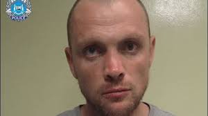 Joel Leslie Painter: Cops