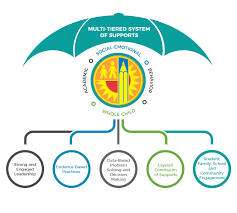 Division Of Access Equity And Acceleration Mtss