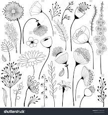 Black And White Free Images Of Flowers 