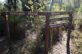 It is managed by government agencies, and has a foundation. The Long Way S Better Bibbulmun Track Wa Kalamunda To Mundaring Weir