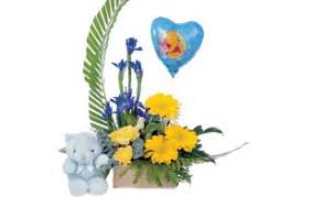 Maybe you would like to learn more about one of these? More Than Flowers Florists In Rototuna