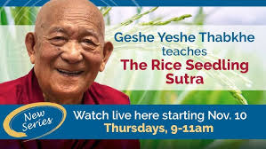 02 Rice Seedling Sutra: Wrong Views of Emptiness 11-17-22