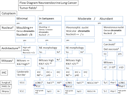 A series of mutations in the dna of the cell creates cancer. The Use Of Immunohistochemistry Improves The Diagnosis Of Small Cell Lung Cancer And Its Differential Diagnosis An International Reproducibility Study In A Demanding Set Of Cases Journal Of Thoracic Oncology