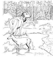This might seem impossible but with our highly skilled professional writers all your custom essays, book reviews, research papers and other custom tasks you order with us will be of high quality. Free Printable Zoo Coloring Pages For Kids