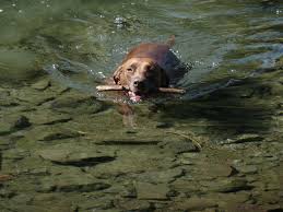 Six Lakes Trail to Doris Lake