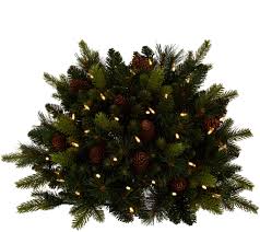 Check spelling or type a new query. Bethlehem Lights Prelit Mixed Greens Pinecones 24 Urn Filler Page 1 Qvc Com