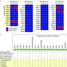 Sexual exploits webtoon is about mature, romance story. Recovery Of Genes In Symbiodinium A Meiosis Related Genes Recovered In Download Scientific Diagram