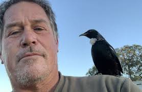 A close encounter of the avian kind