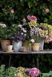 Le Temps Qui Passe Dans Le Jardin D Eugenie Jardin Romantique Parterre De Fleurs Jardins
