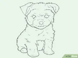 How To Draw A Yorkie With Pictures Wikihow Redeem your coupon for 75% off below. how to draw a yorkie with pictures