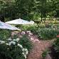 Hort Trip: Cricket Hill Gardens — Simsbury Garden Club event image