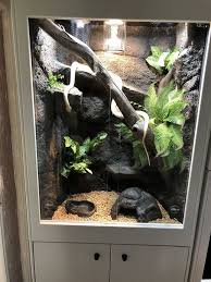 Cute Reptile Enclosure Reptile Enclosure Susses Reptiliengehege Mignon En Cute Enclosure Mignon Reptile Terrarium Reptiles Pet Reptile Enclosure