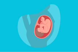 5 tanda air ketuban pecah, pahami ya mom saat ini usia kehamilan mom sudah memasuki waktu menjelang melahirkan? Bahaya Air Ketuban Yang Tertelan Oleh Bayi Dalam Kandungan