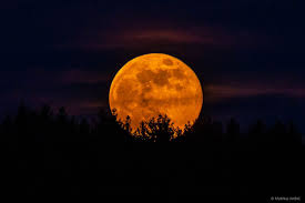 Tag/monat/jahr sonnenaufgang sonnenuntergang mondaufgang monduntergang; Mondaufgang Foto Bild Mondaufnahmen Himmel Universum Wald Bilder Auf Fotocommunity
