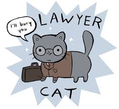 #cats #cat #lawyer #lawyer cat #brazil #dr. Lawyer Cat Home Facebook